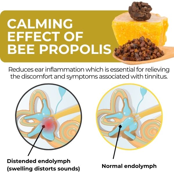 Limited Time Offer 🚨Cvreoz® Propolis Tinnitus Spray – Only 50 in stock available! Act Fast!