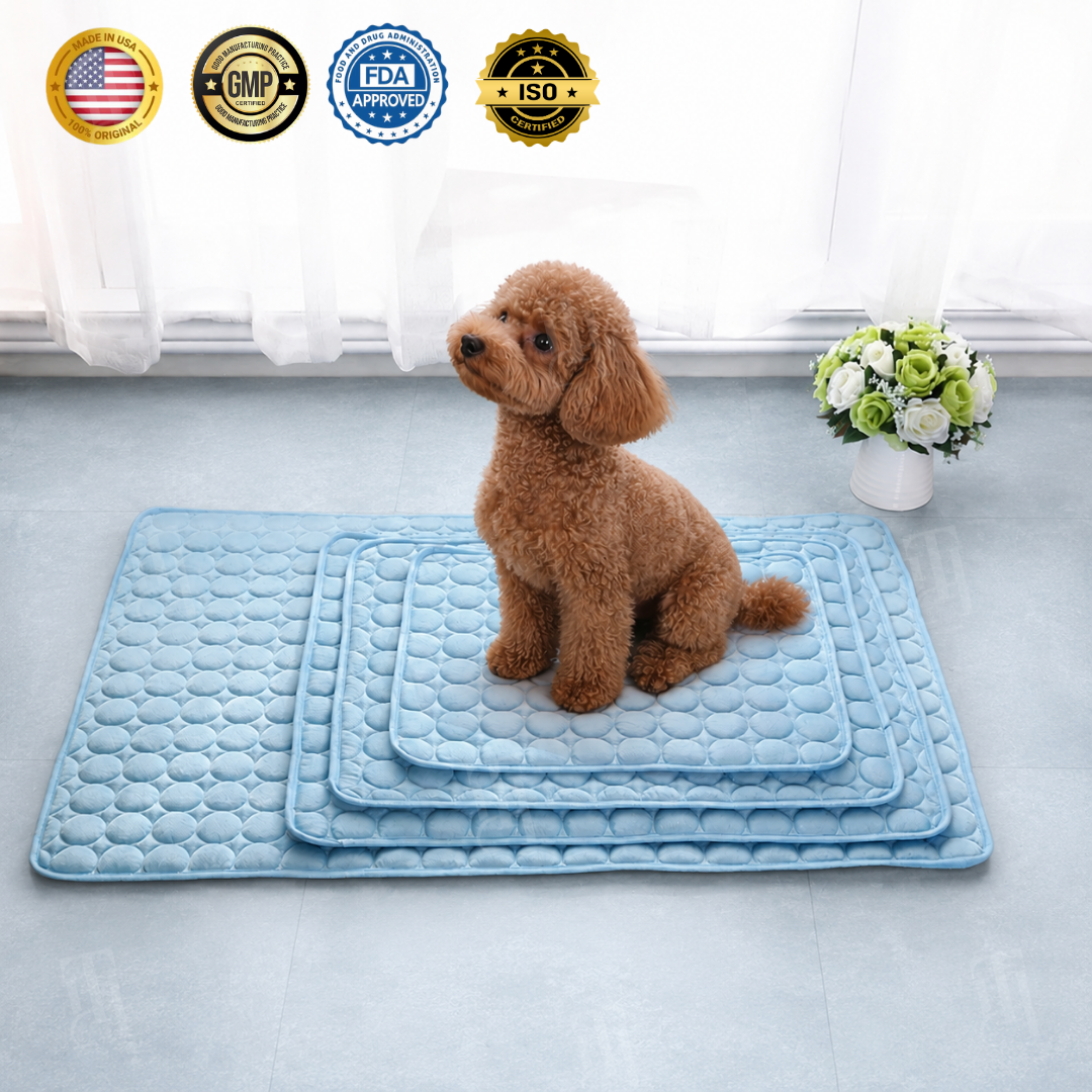 AEXZR® Advanced Ortho-Cool Pet Mat | Thermochromic Safe Cooling Pad