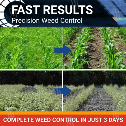 🏷️ EXCLUSIVE DEAL! 50% OFF - RZXEA™ Halauxifen-methyl Cereals Herbicide